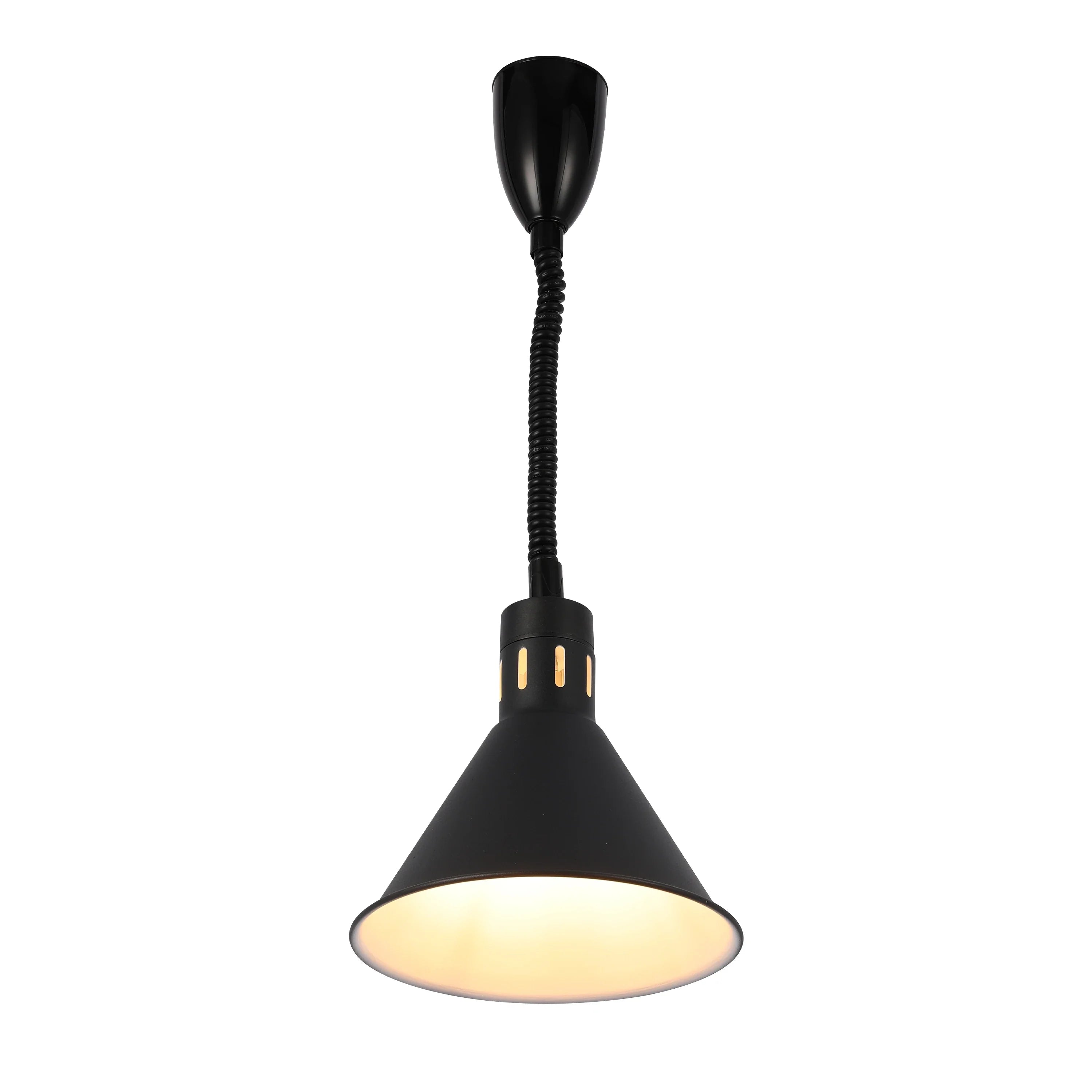 Black Pendant Light with Coiled Stem