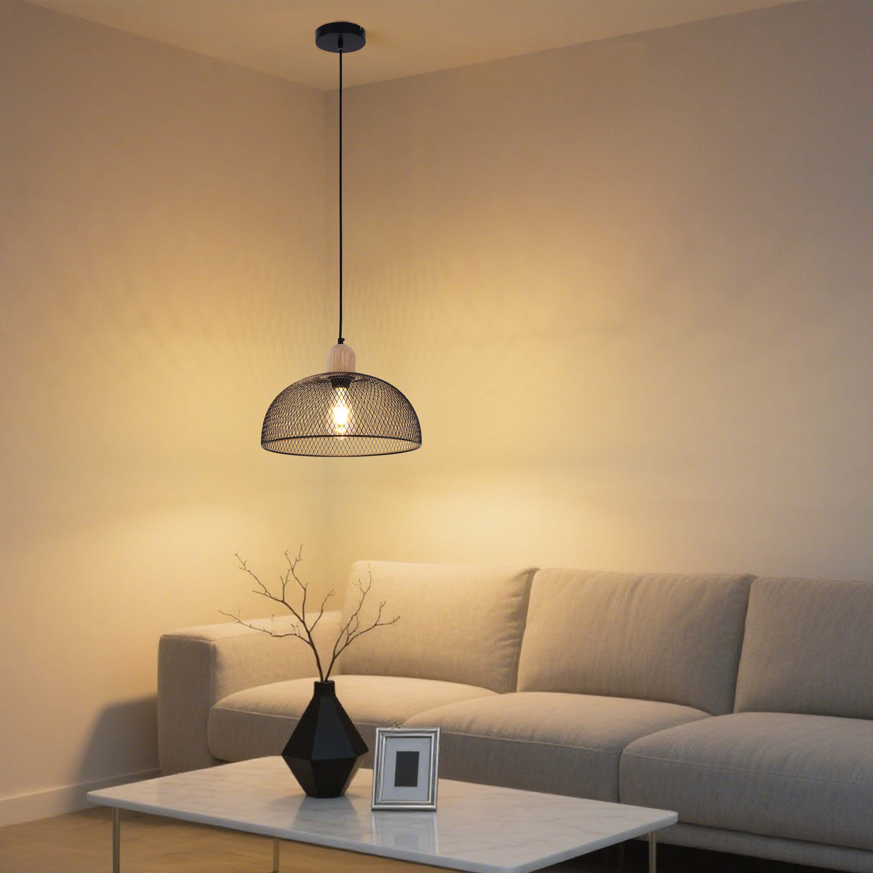 Industrial Black Wire Mesh Dome Pendant Light with Wood Accent, E27