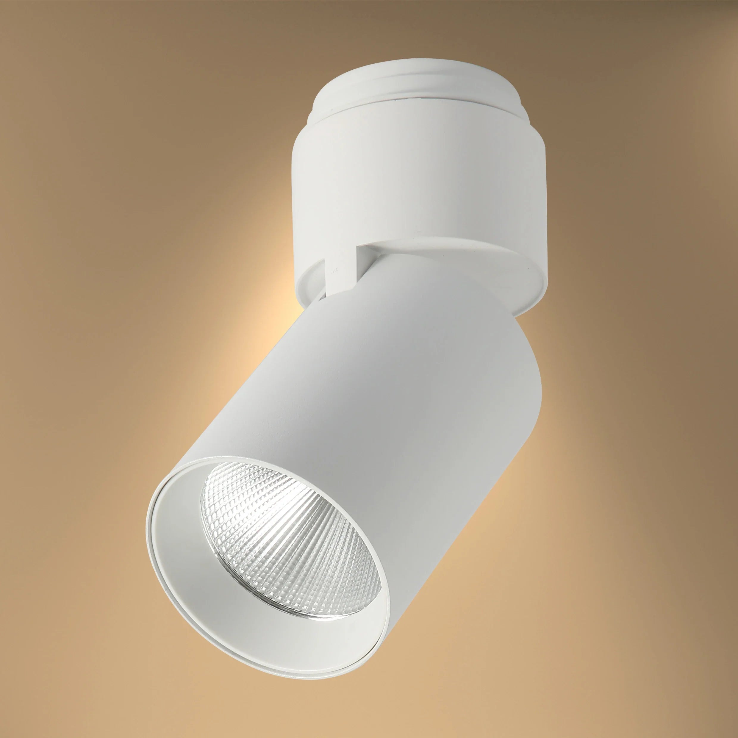 LED Surface-Recessed Tilt Rotatable Downlight Cool White 4000K