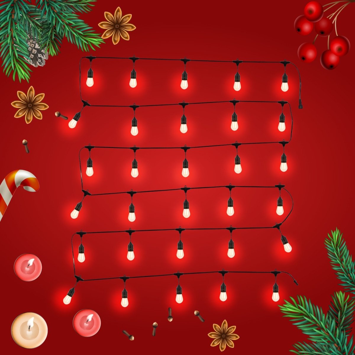 genral view of pollux festoon light set 30 bulbs