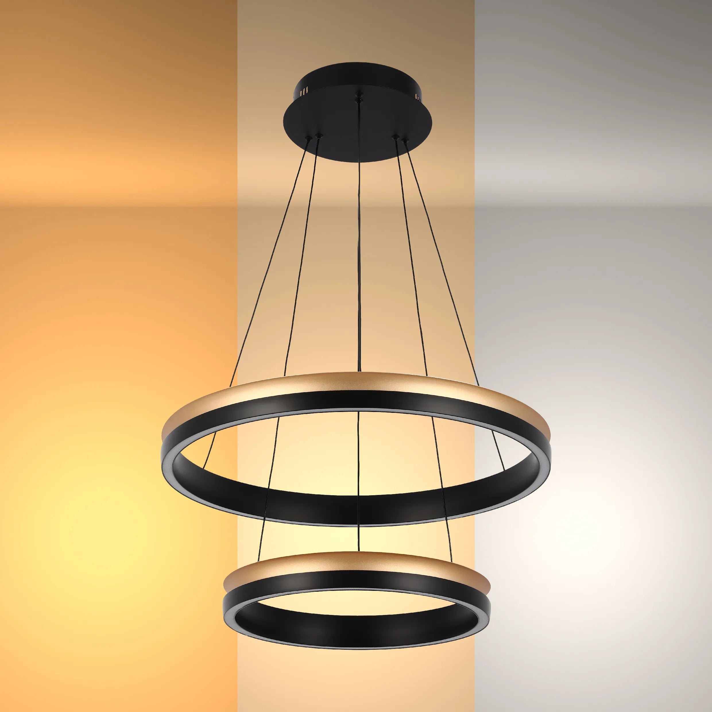 A modern, dual-ring black and gold LED pendant light fixture, suspended by thin cables.