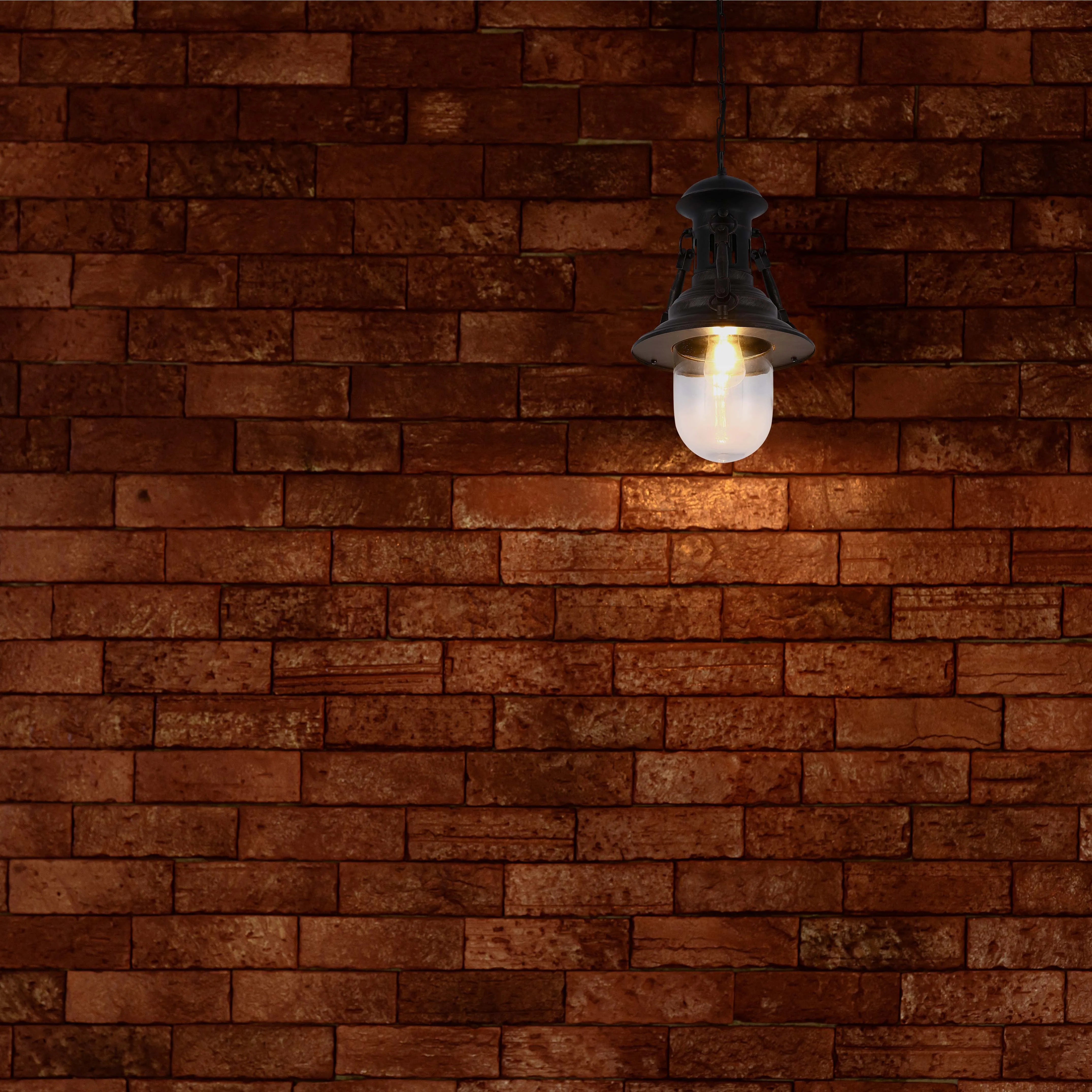 Pendant light hangs from a brick wall, casting a warm glow. Industrial-style fitting with a glass shade.