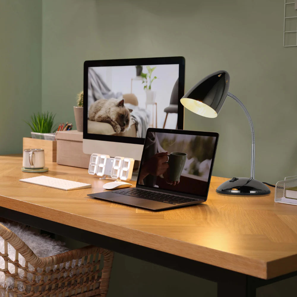 Flex Neck Metal Desk Lamp 5