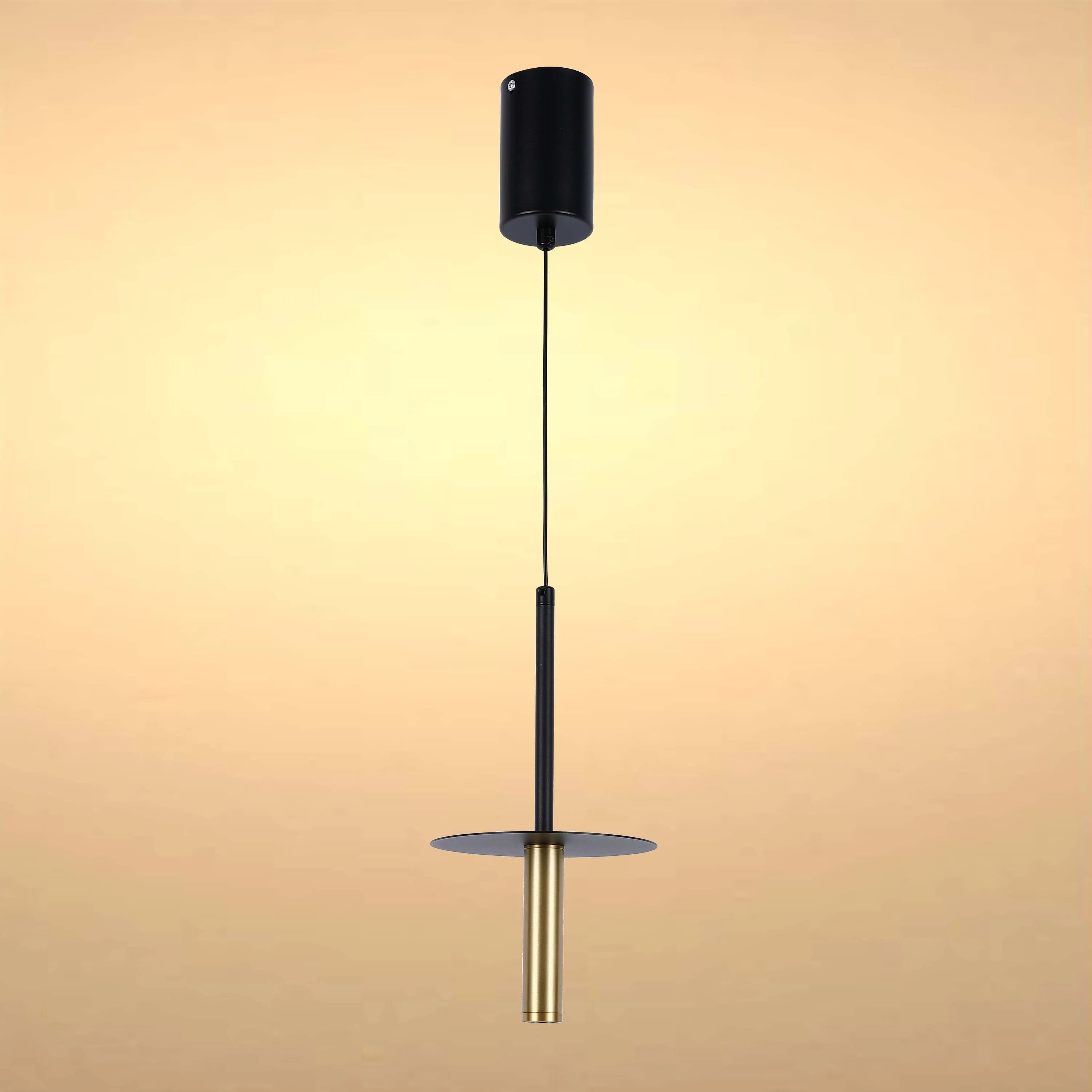 A sleek, minimalist pendant light with a black fixture and a gold cylindrical lamp. Modern design for ambient lighting.