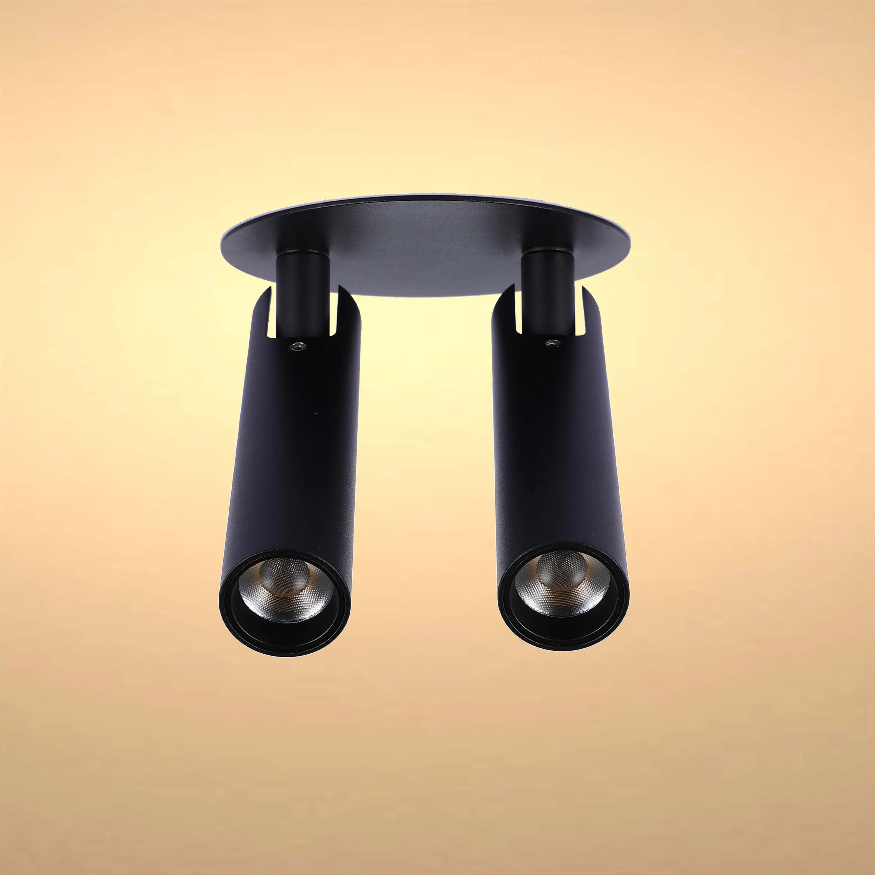 A black, two-bulb ceiling light fixture with cylindrical spotlights. Modern and minimalist design against a soft gradient backdrop.