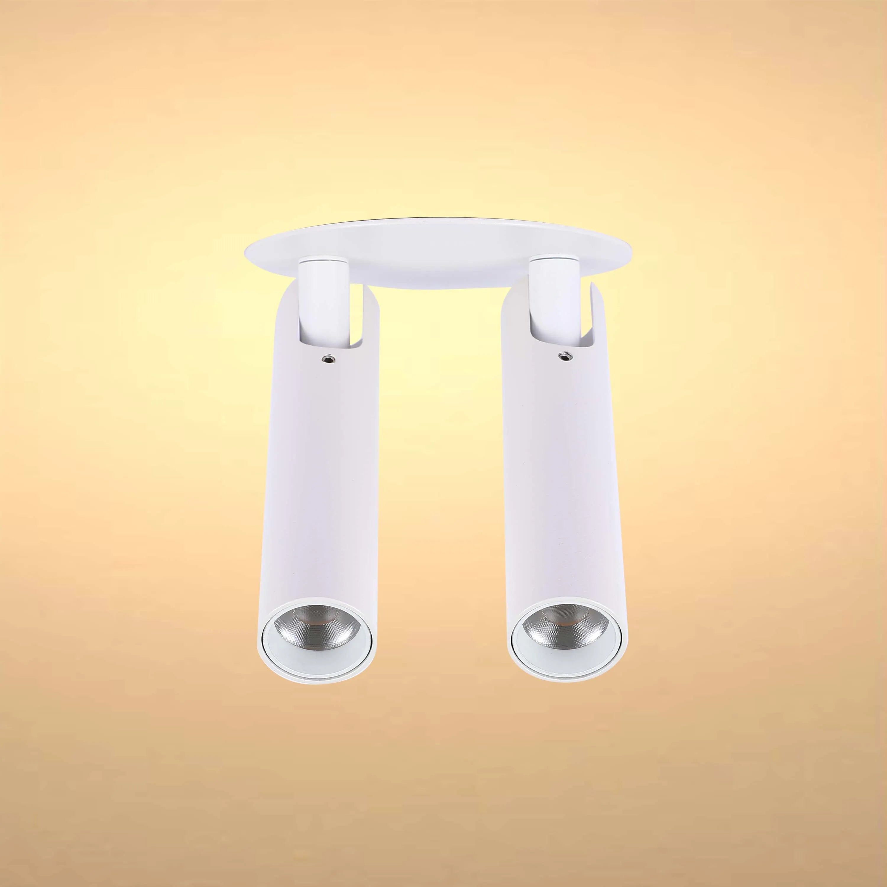A white, two-headed ceiling spotlight with cylindrical heads, offering directional light for contemporary spaces.