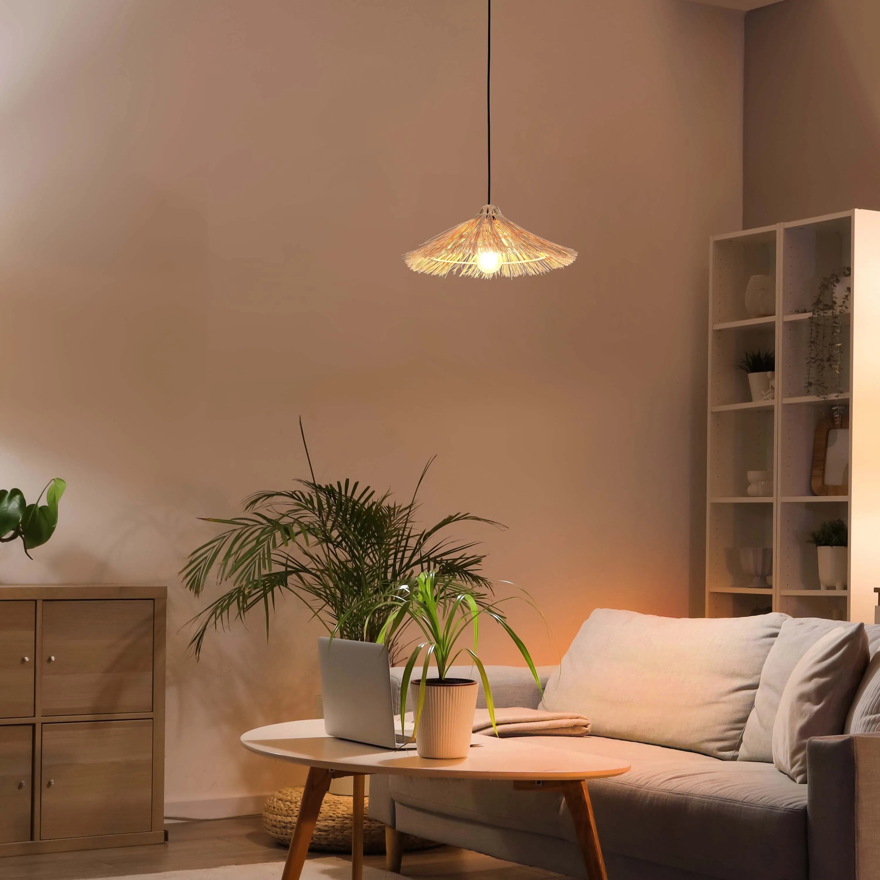 Cosy living room with a straw pendant light hanging from the ceiling, casting a warm glow over the sofa and houseplants.