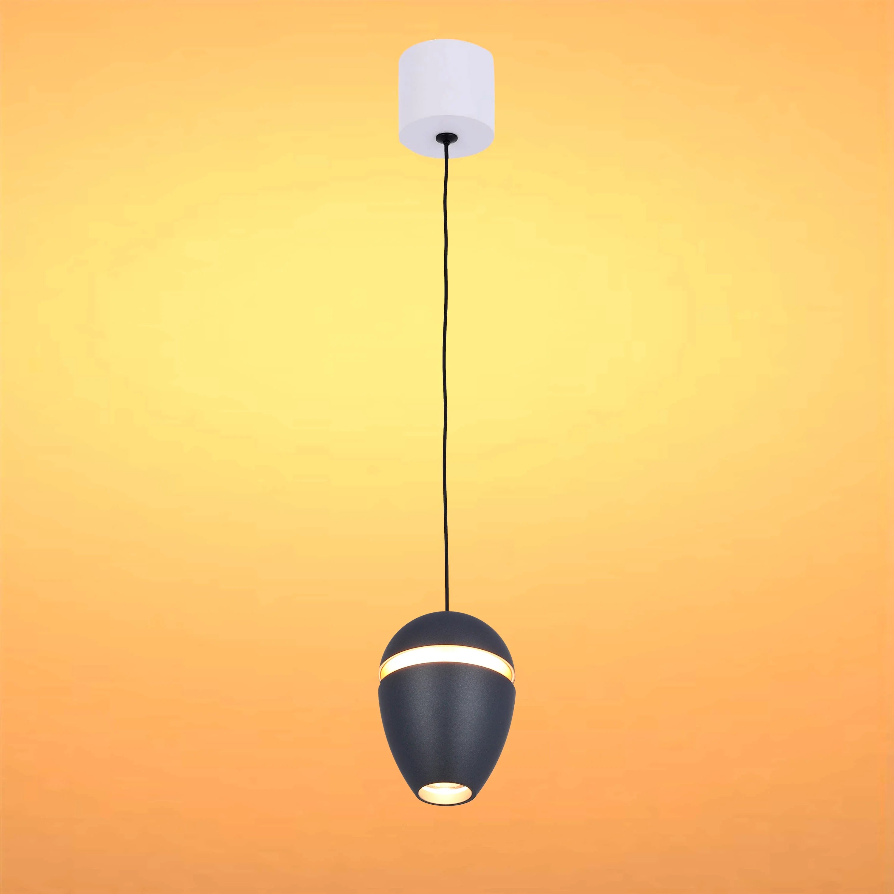 Acorn LED Pendant Downlight with Cove Lighting Effect 10W Warm White