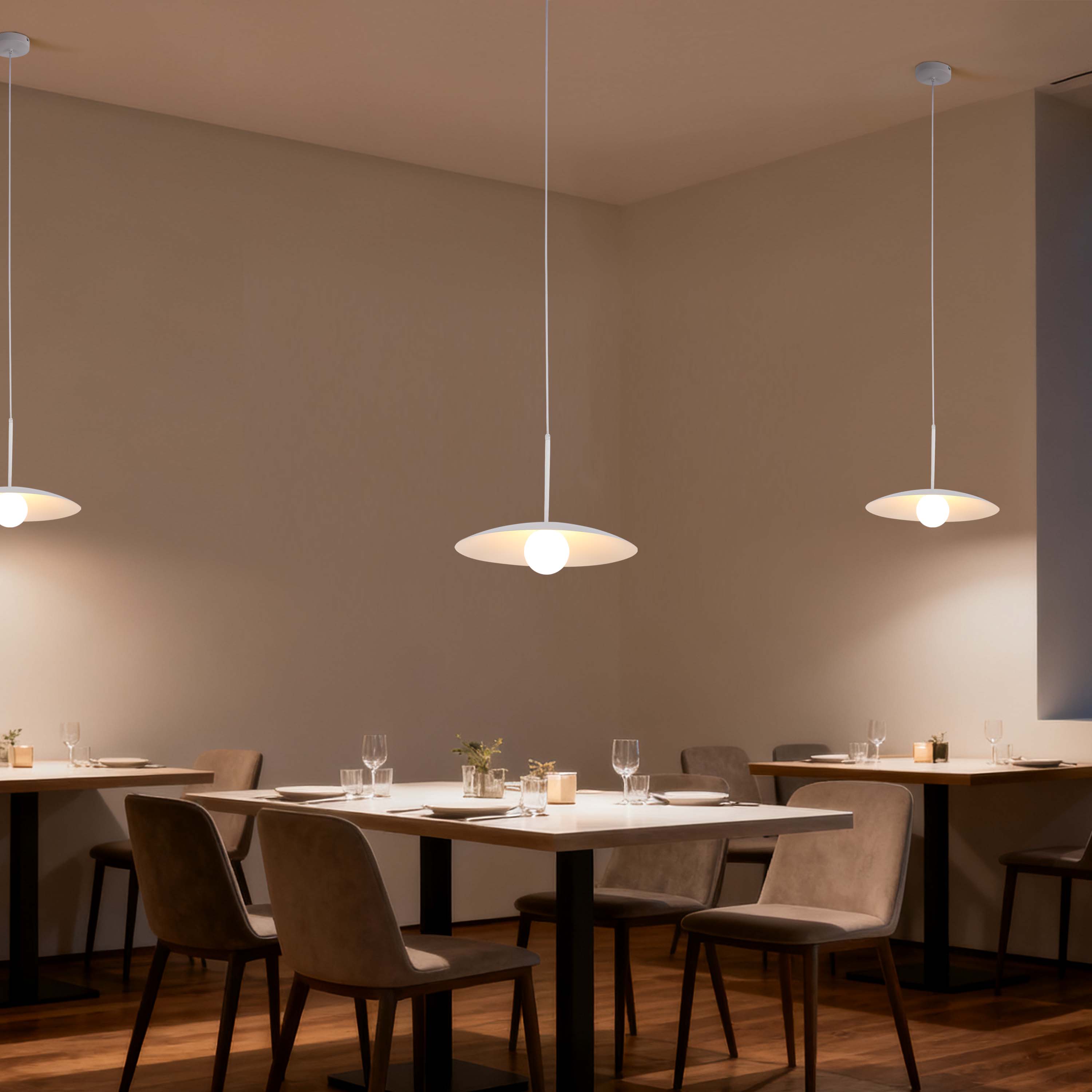 Minimalist White Flat Plate Pendant Light with Opal Globe Glass, G9