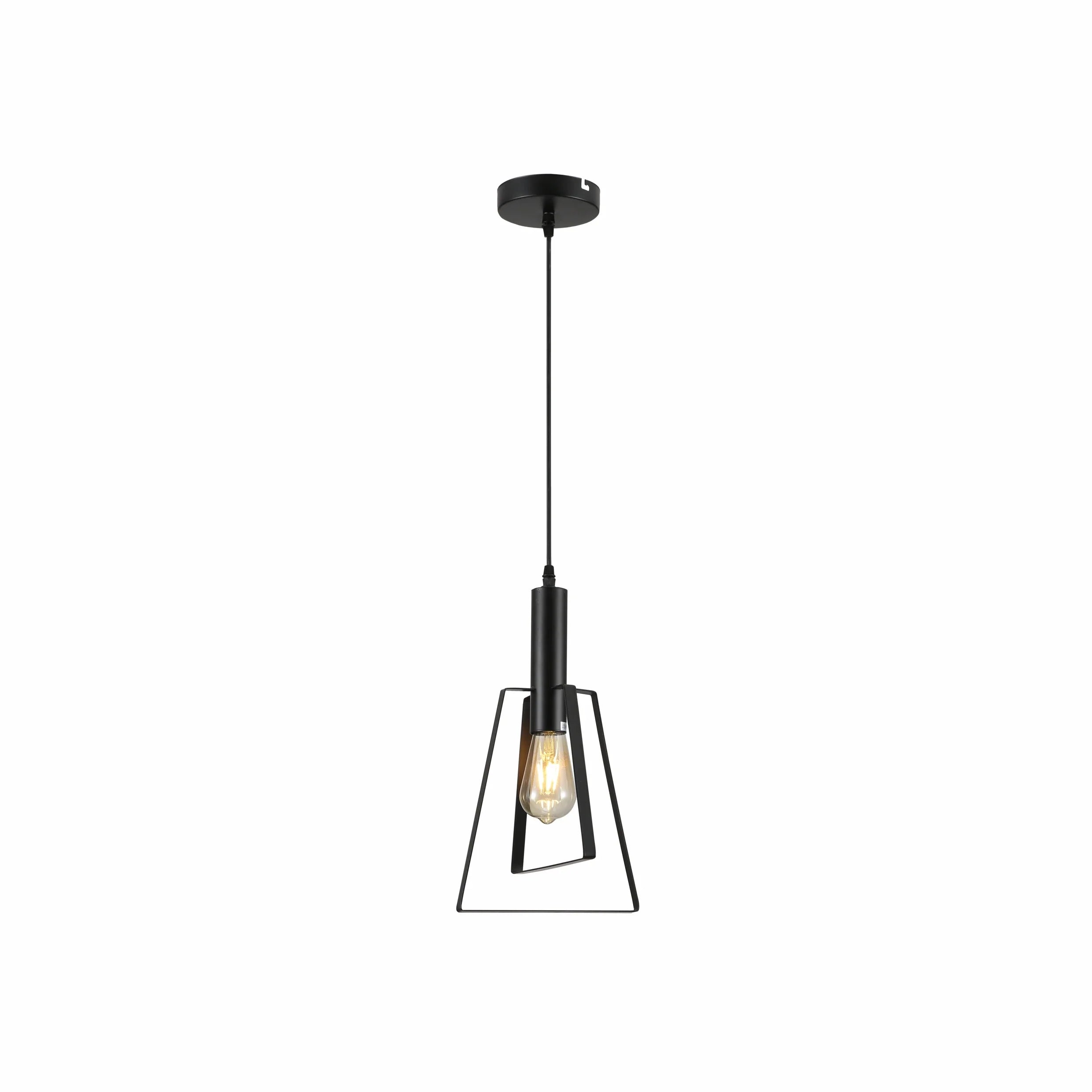Nordic Black Cage Pendant Ceiling Light E27