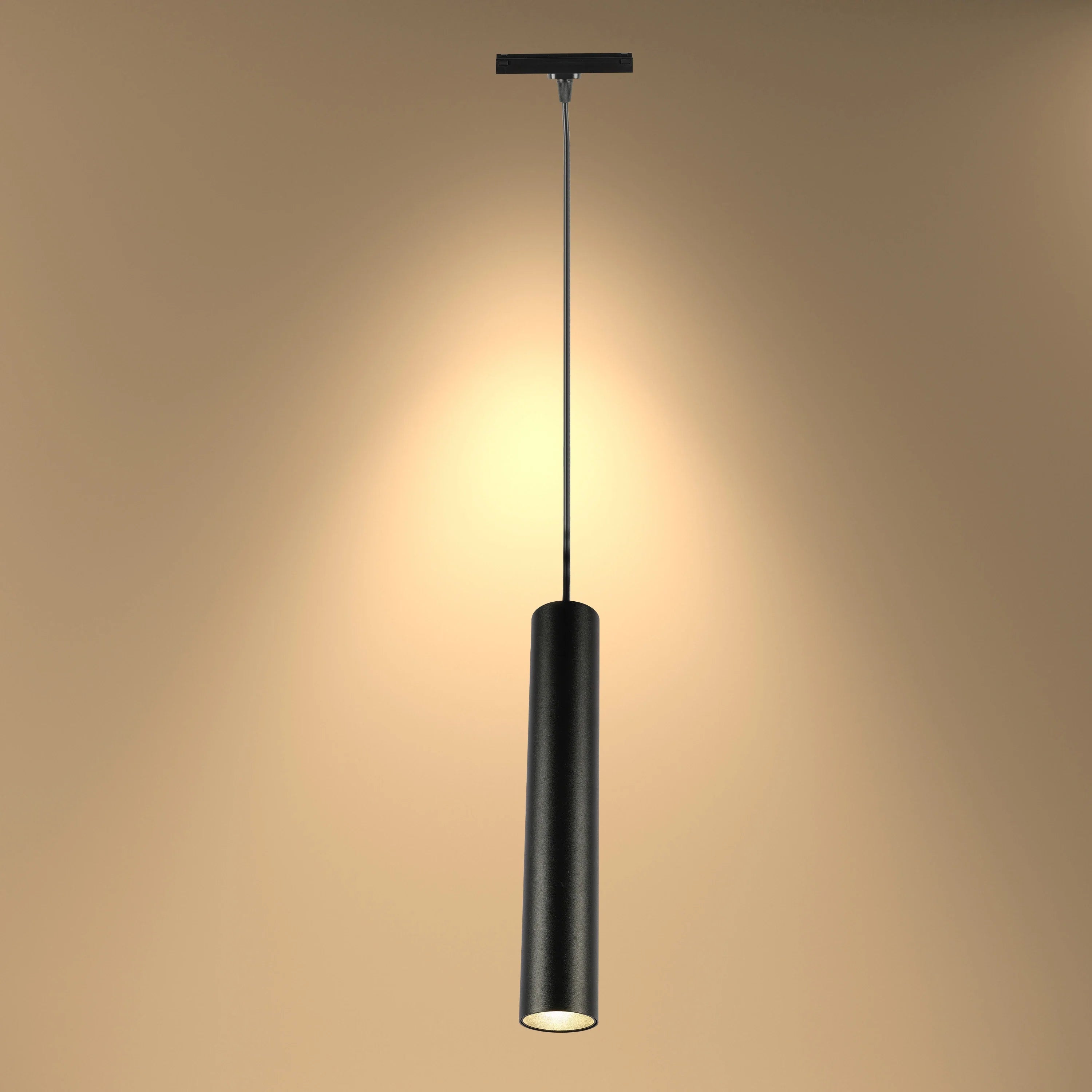 Magnetic Track Pendant Downlight | 12W COB LED Pendant