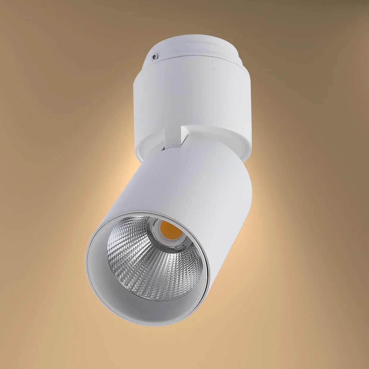 LED Surface-Recessed Tilt Rotatable Downlight Cool White 4000K