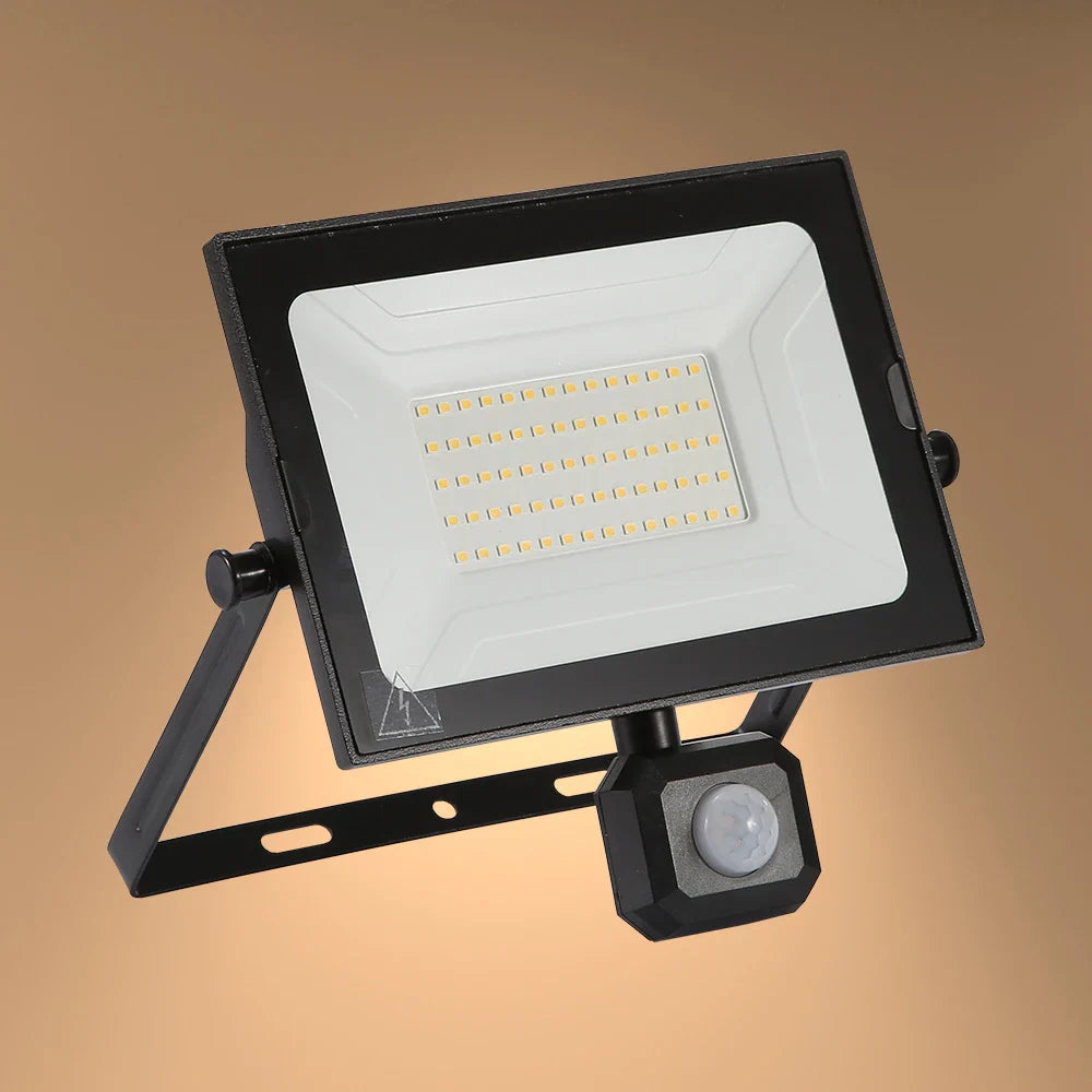 Pegasus Flood Light with PIR Motion Sensor 4000K Cool White IP65