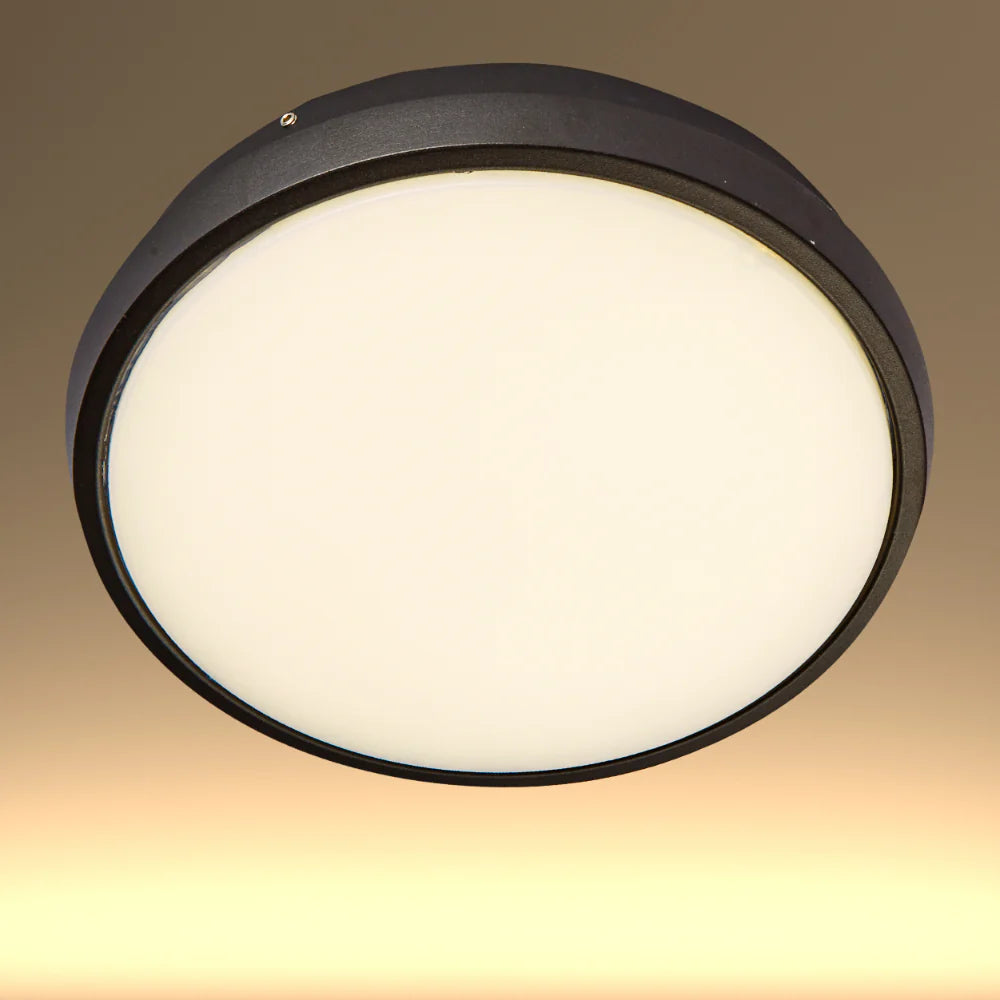 Black Ring Moonlight Outdoor Modern LED Wall Light 3