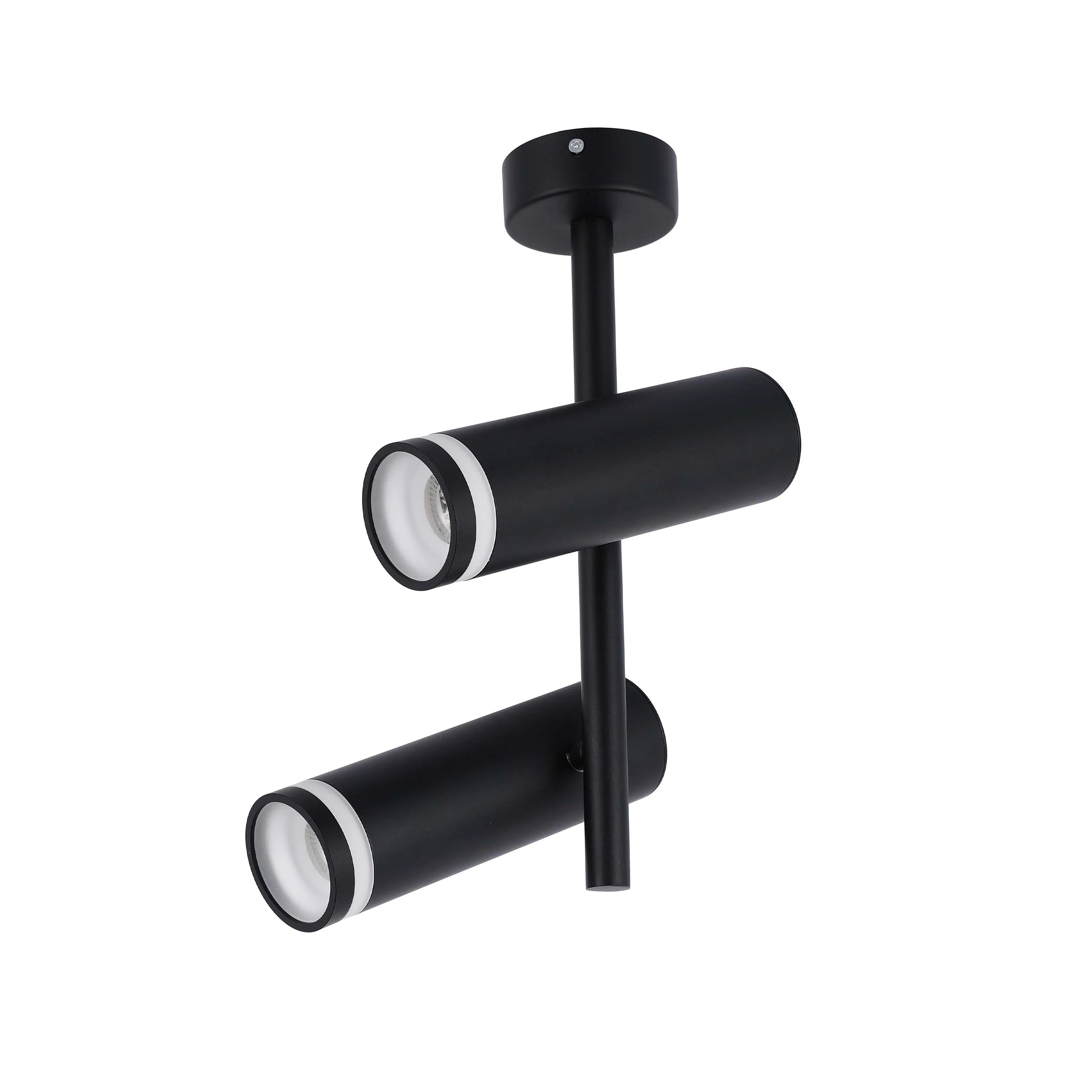 A black two-light spotlight fitting, with adjustable heads, mounted flush to the ceiling.