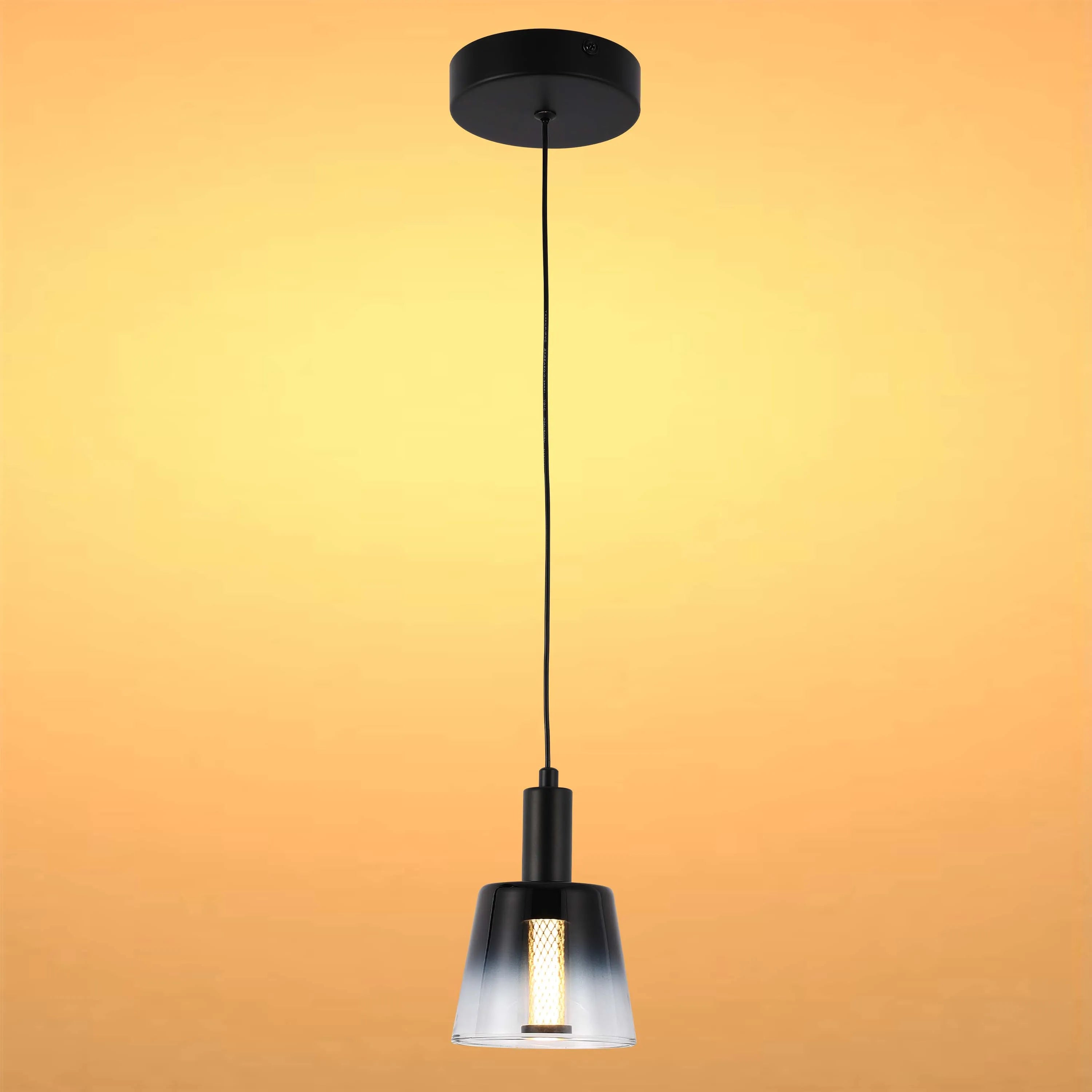 Stylish pendant light with a black finish and a glass shade. Contemporary design for a modern interior.