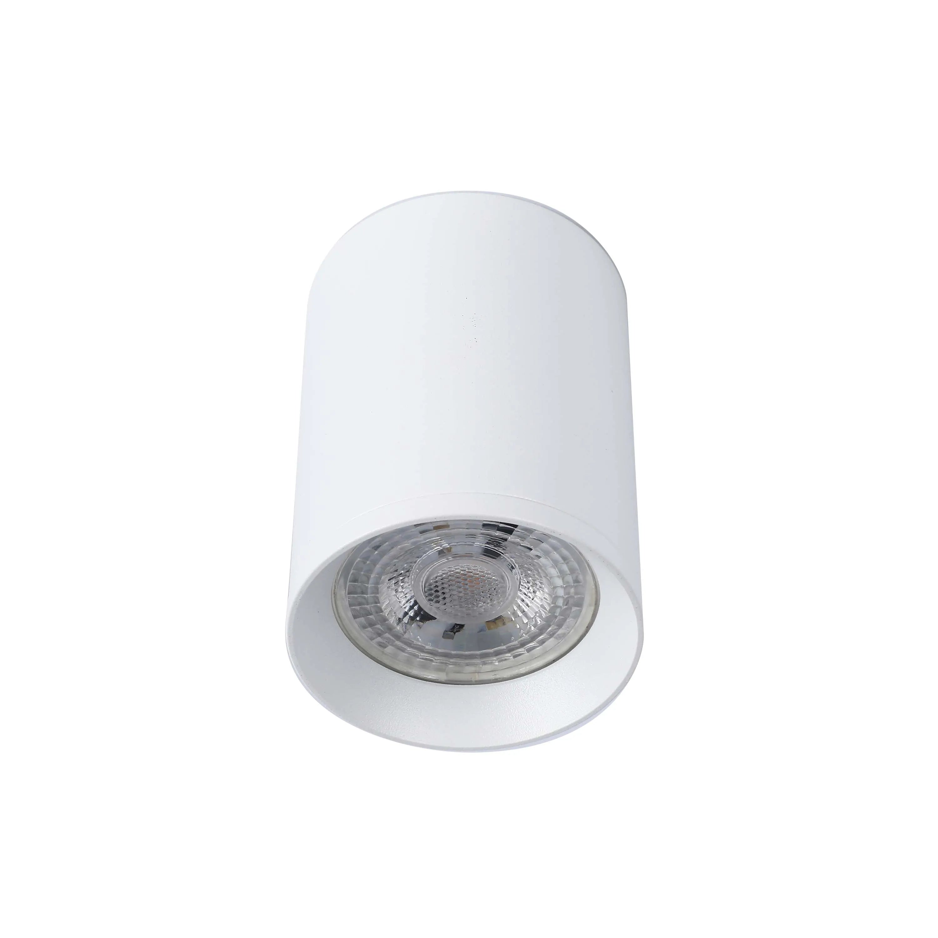 A white, cylindrical, ceiling downlight is shown against a white background.