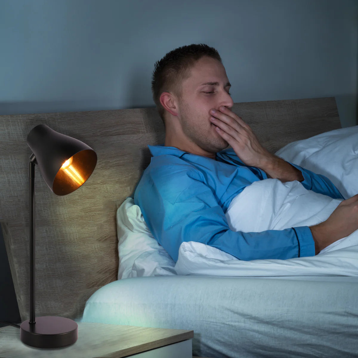 Where to use Elegant Rotatable Desk Lamp in Assorted Colors 130-03650