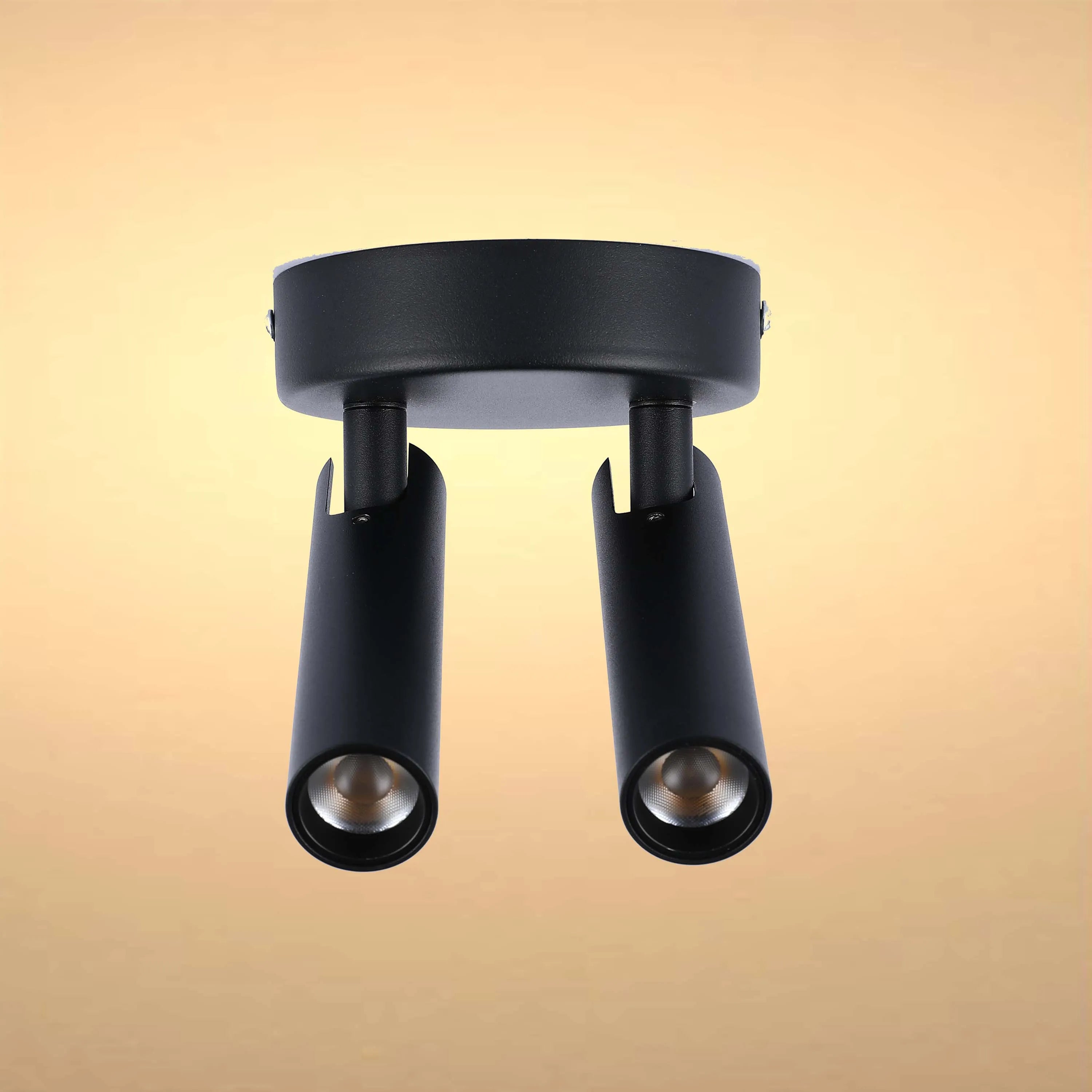 A modern, black, two-light ceiling spotlight, perfect for a contemporary interior lighting scheme.